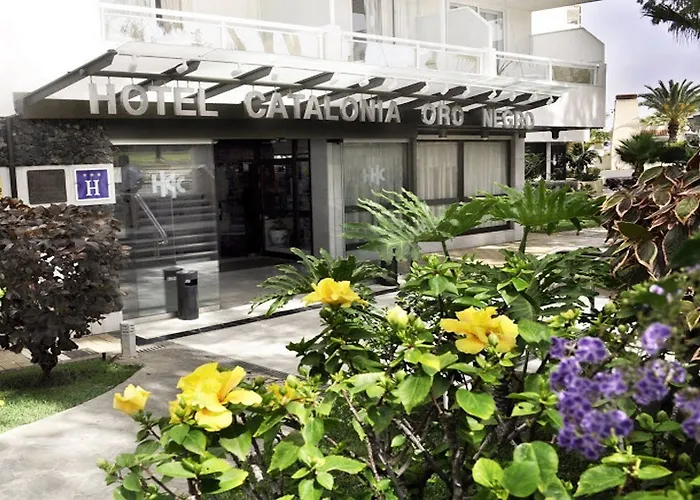 Отель Catalonia Oro Negro 3*